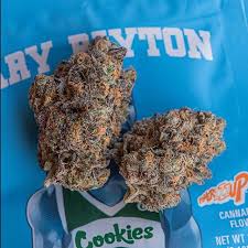 gary payton cookies