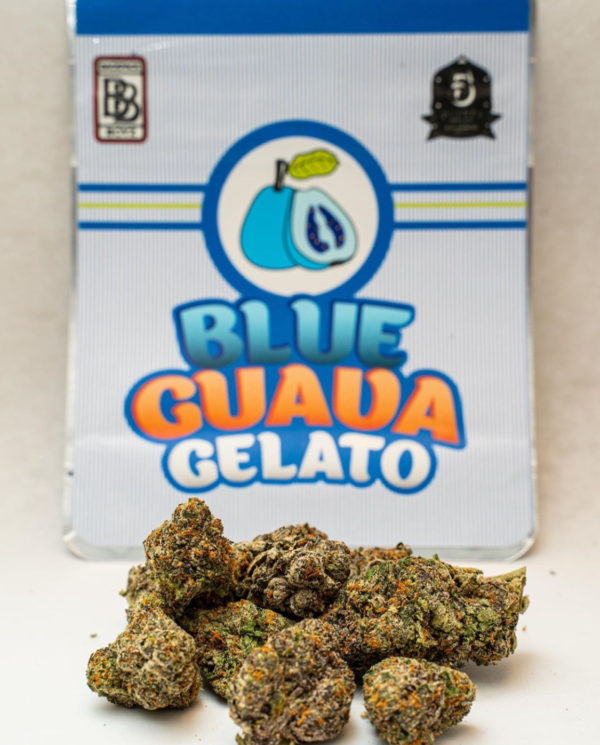 Blue Guava Gelato Strain