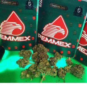 Pemmex Strain