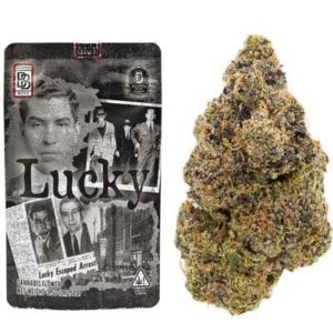 Lucky Strain BackpackBoyz