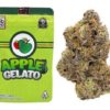 Apple Gelato Strain