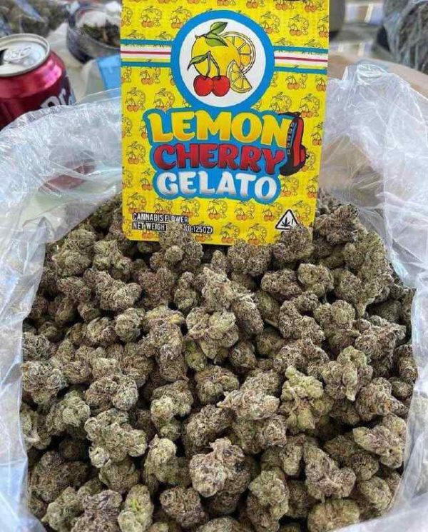 lemon cherry gelato strain