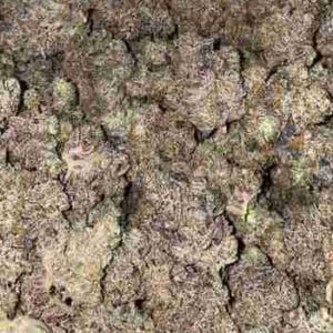 Buy Zaza Weed Strain