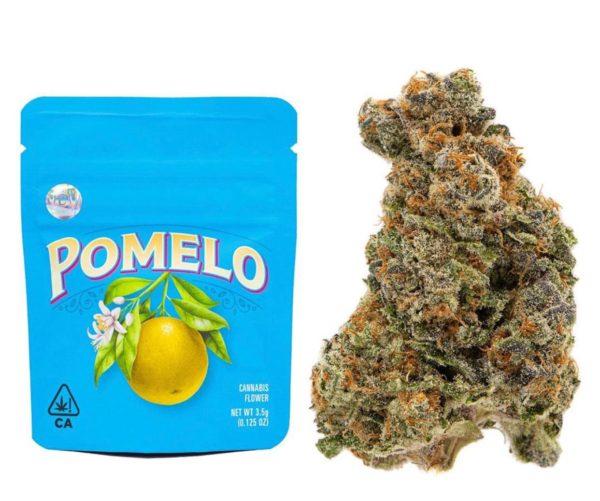 pomelo strain