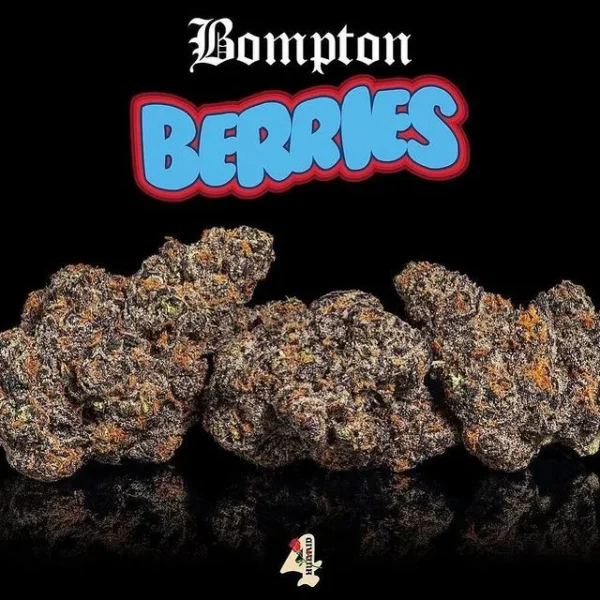 Bompton Berries strain