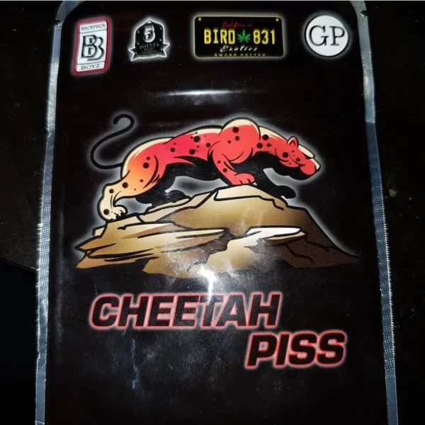 Cheetah Piss Strain