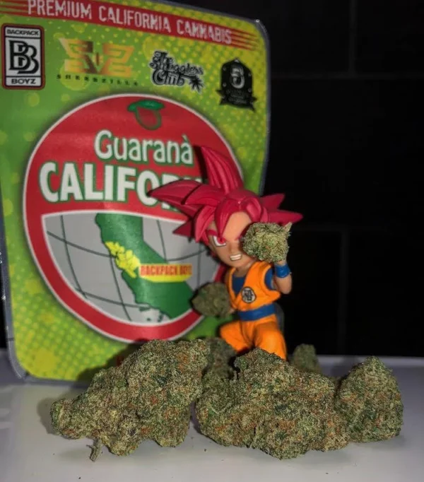 Guarana California strain