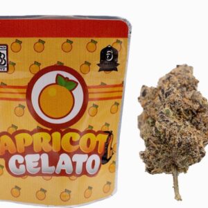 Apricot Gelato Strain